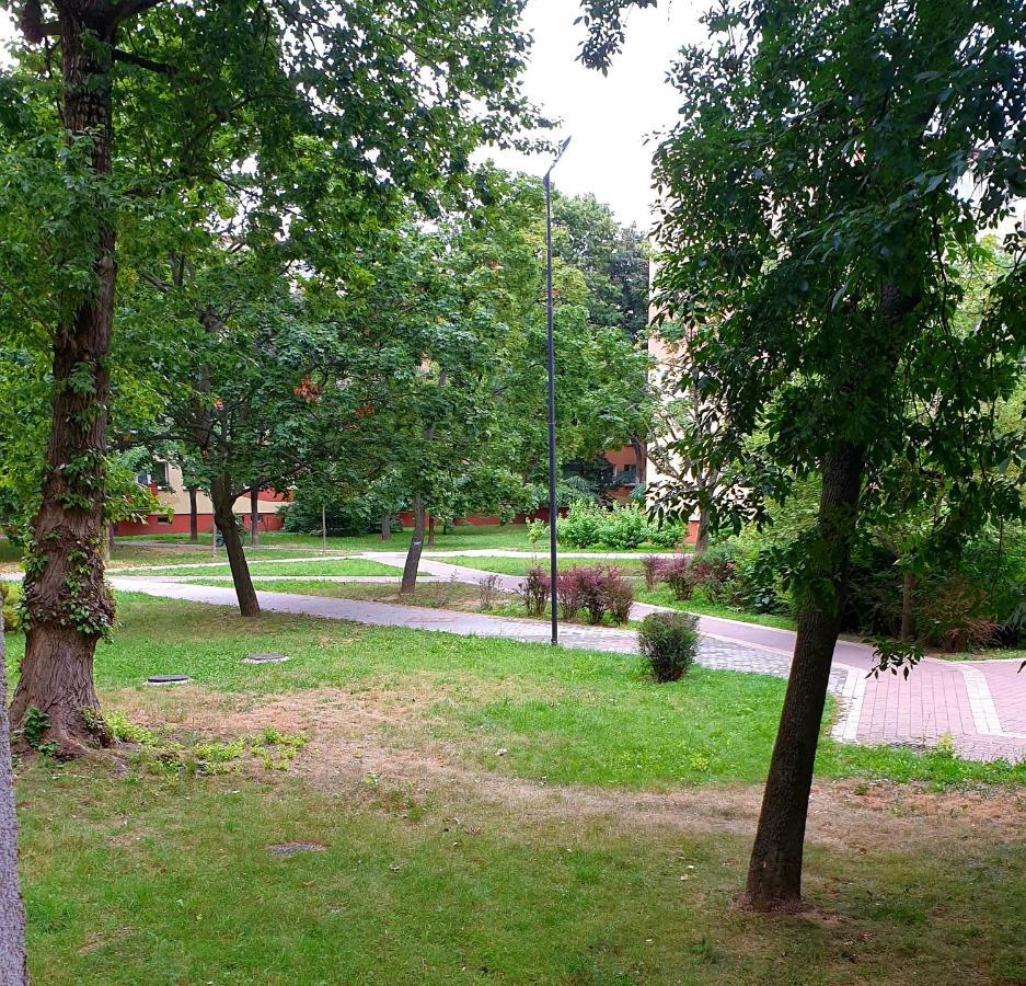 Best Choice 2-Bedroom Apartment Płock Exterior foto